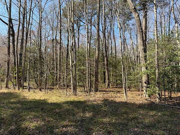 17.5 Acres of Land for Sale in Kilmarnock, Virginia