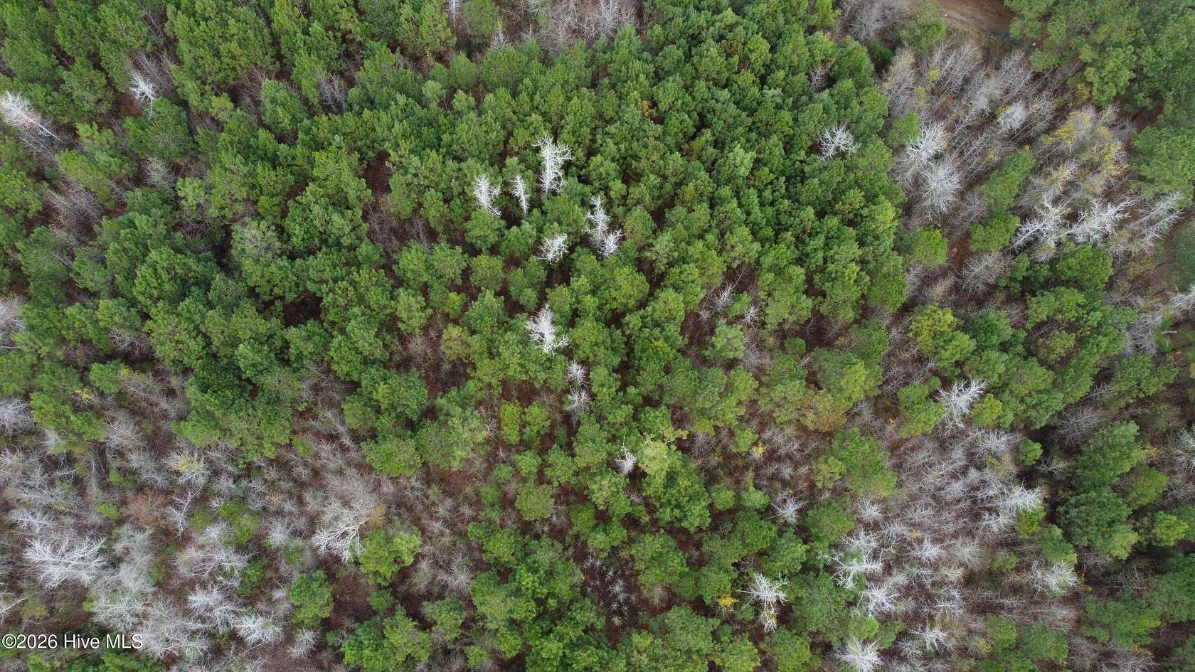 0.63 Acres of Residential Land for Sale in Bolton, North Carolina