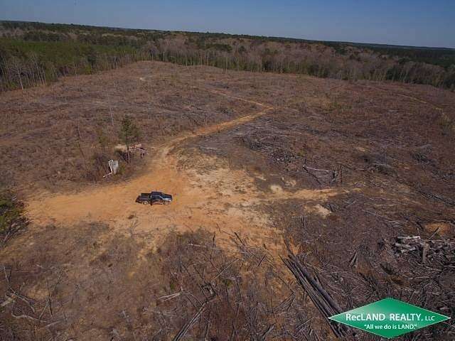 91 Acres of Recreational & Residential Land for Sale in Linville, Louisiana