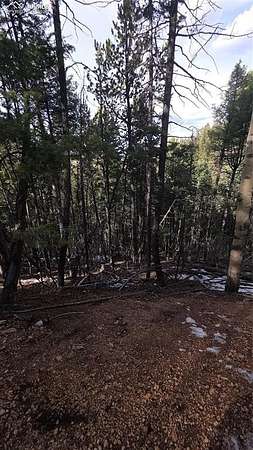 0.57 Acres of Land for Sale in Woodland Park, Colorado