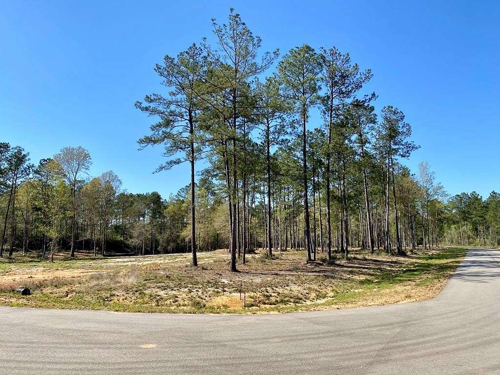 7 Acres of Residential Land for Sale in Carriere, Mississippi