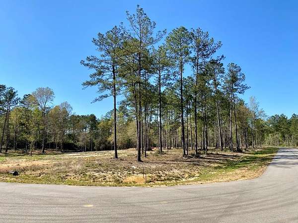7 Acres of Residential Land for Sale in Carriere, Mississippi