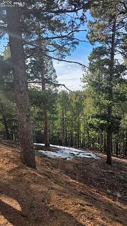 0.17 Acres of Land for Sale in Woodland Park, Colorado
