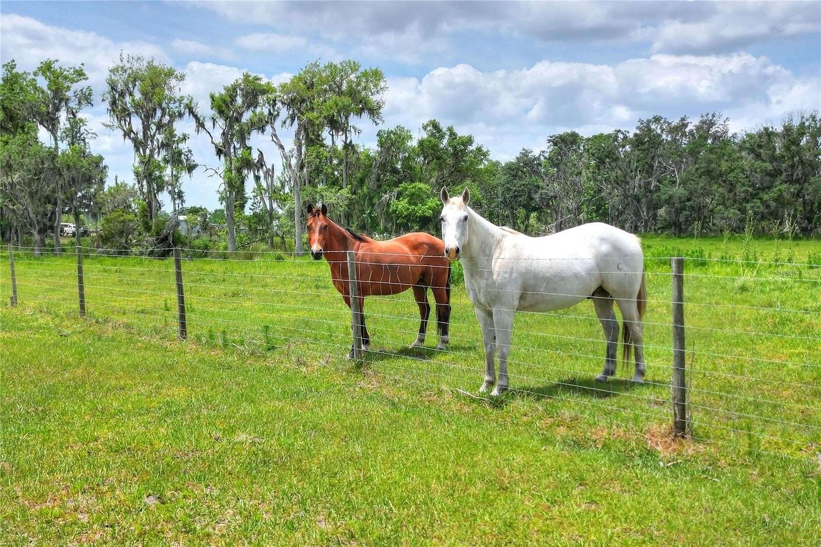 5.33 Acres of Land for Sale in Lithia, Florida
