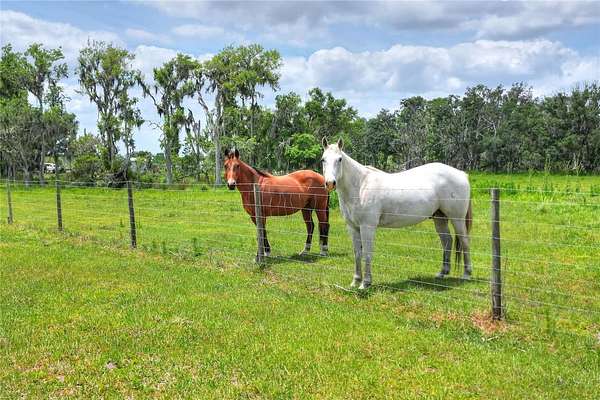 5.33 Acres of Land for Sale in Lithia, Florida