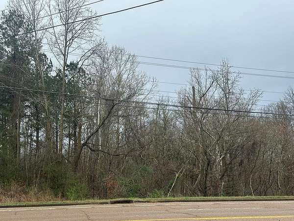 24.9 Acres of Land for Sale in Paris, Tennessee