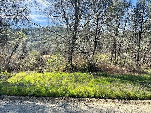 15.8 Acres of Recreational & Residential Land for Sale in Clearlake Oaks, California