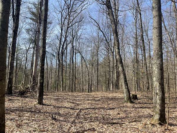 20 Acres of Recreational & Residential Land for Sale in Newaygo, Michigan