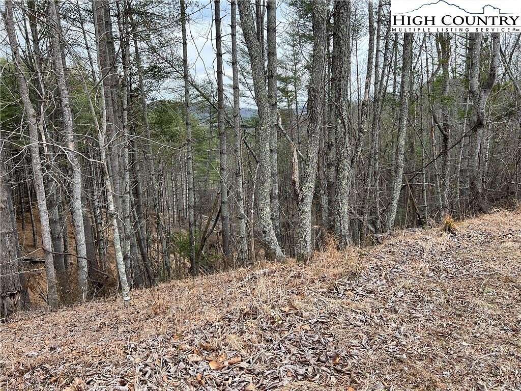 20.7 Acres of Recreational Land for Sale in Crumpler, North Carolina