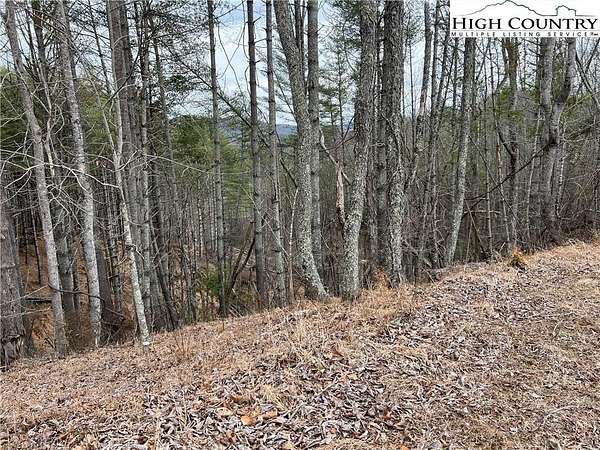 20.7 Acres of Recreational Land for Sale in Crumpler, North Carolina