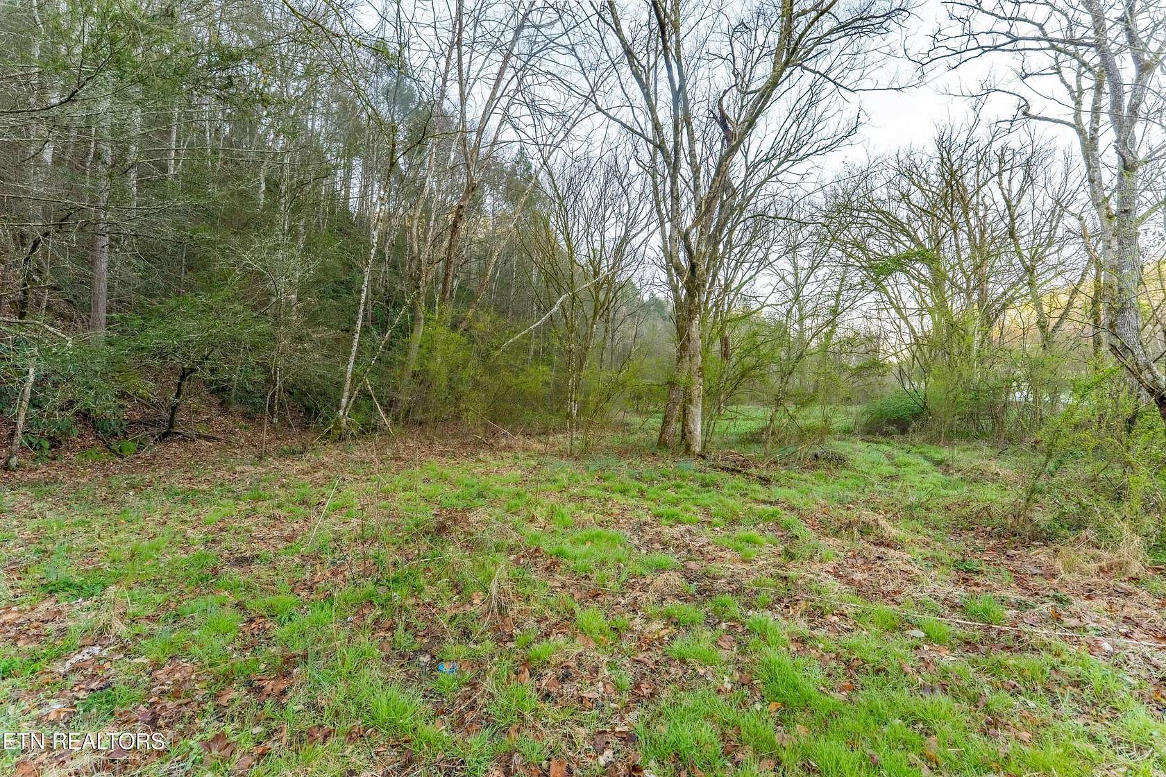 10 Acres of Residential Land for Sale in Cosby, Tennessee