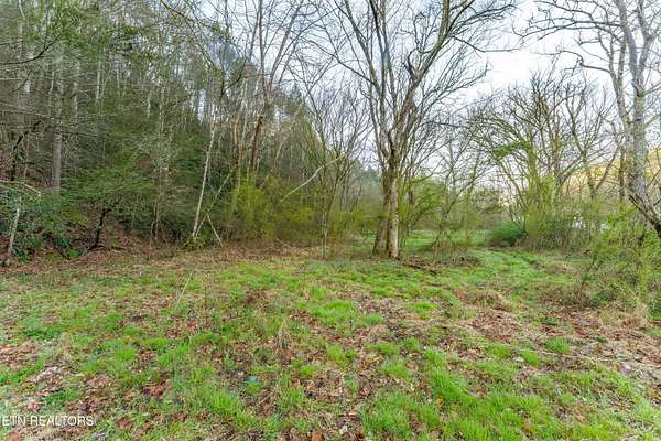 10 Acres of Residential Land for Sale in Cosby, Tennessee