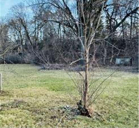 0.26 Acres of Land for Sale in Newport, Minnesota