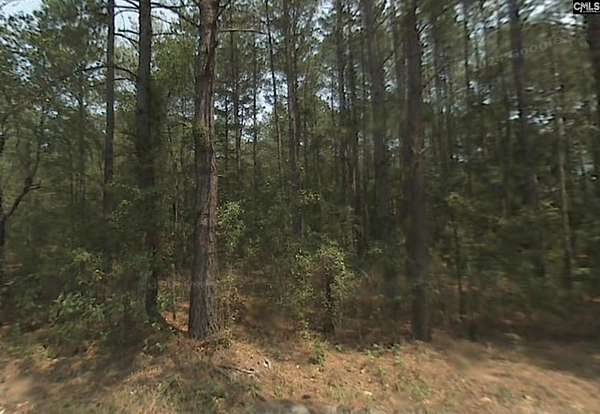 0.27 Acres of Land for Sale in Columbia, South Carolina