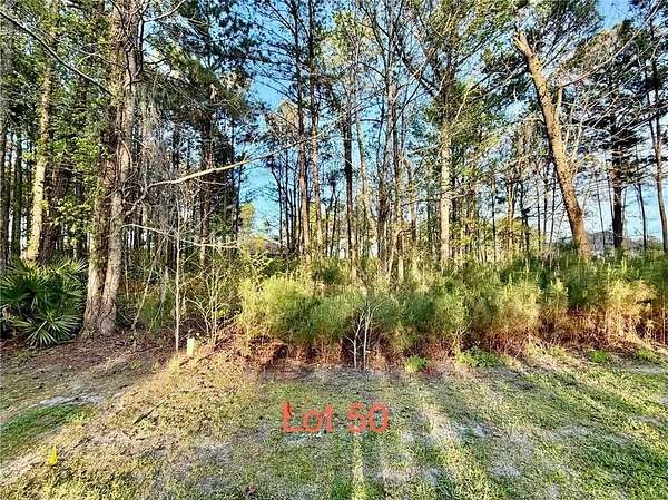 0.2 Acres of Residential Land for Sale in Waverly, Georgia