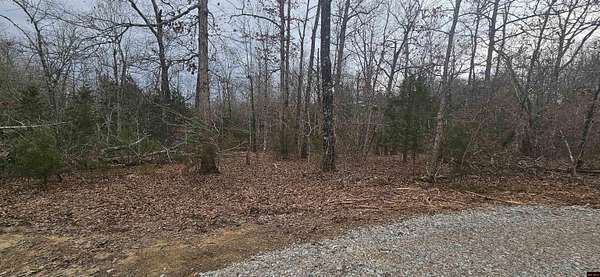 0.44 Acres of Land for Sale in Henderson, Arkansas