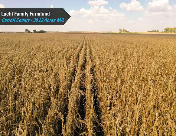 38.2 Acres of Agricultural & Residential Land for Sale in Glidden, Iowa