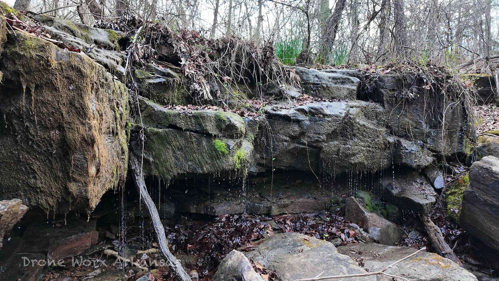 140 Acres of Recreational & Residential Land for Sale in Marshall, Arkansas