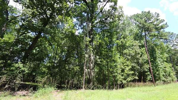 0.34 Acres of Residential Land for Sale in Broaddus, Texas