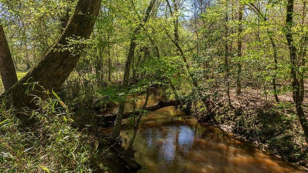 24.5 Acres of Recreational Land for Sale in Nacogdoches, Texas
