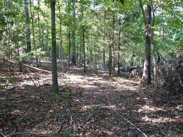 10 Acres of Residential Land for Sale in Flippin, Arkansas