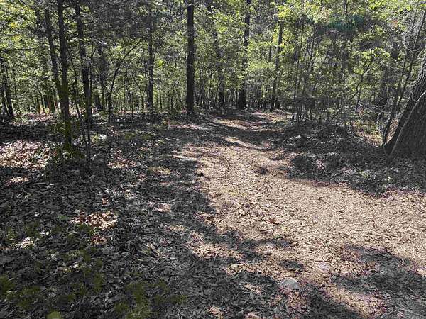 10 Acres of Residential Land for Sale in Flippin, Arkansas