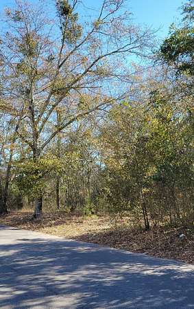 0.6 Acres of Residential Land for Sale in Denmark, South Carolina