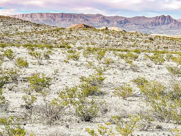 20 Acres of Land for Sale in Terlingua, Texas