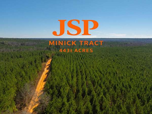 443 Acres of Land for Sale in Preston, Georgia