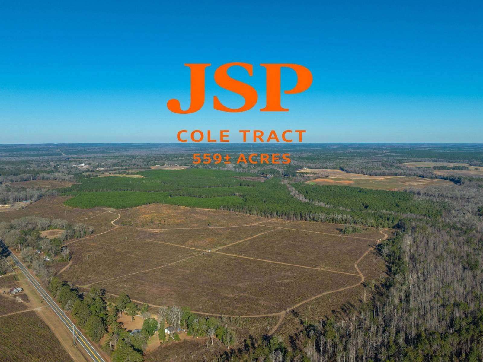 559 Acres of Land for Sale in Preston, Georgia