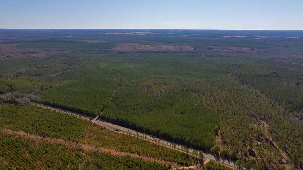 310 Acres of Recreational & Residential Land for Sale in Richland, Georgia
