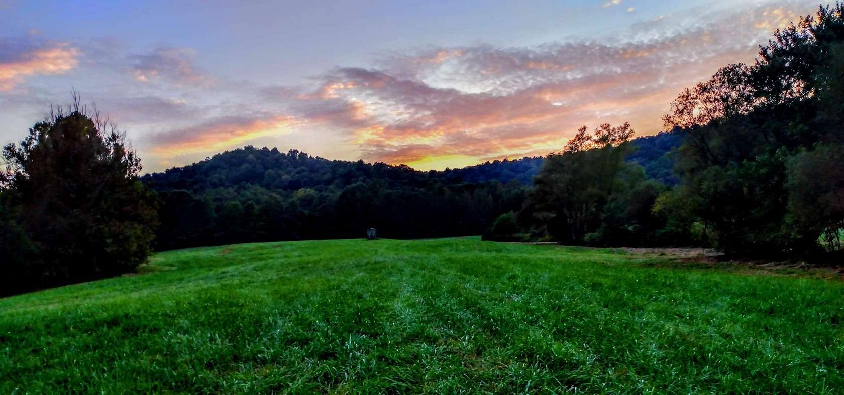 27 Acres of Recreational Land with Home for Sale in Campbellsville, Kentucky