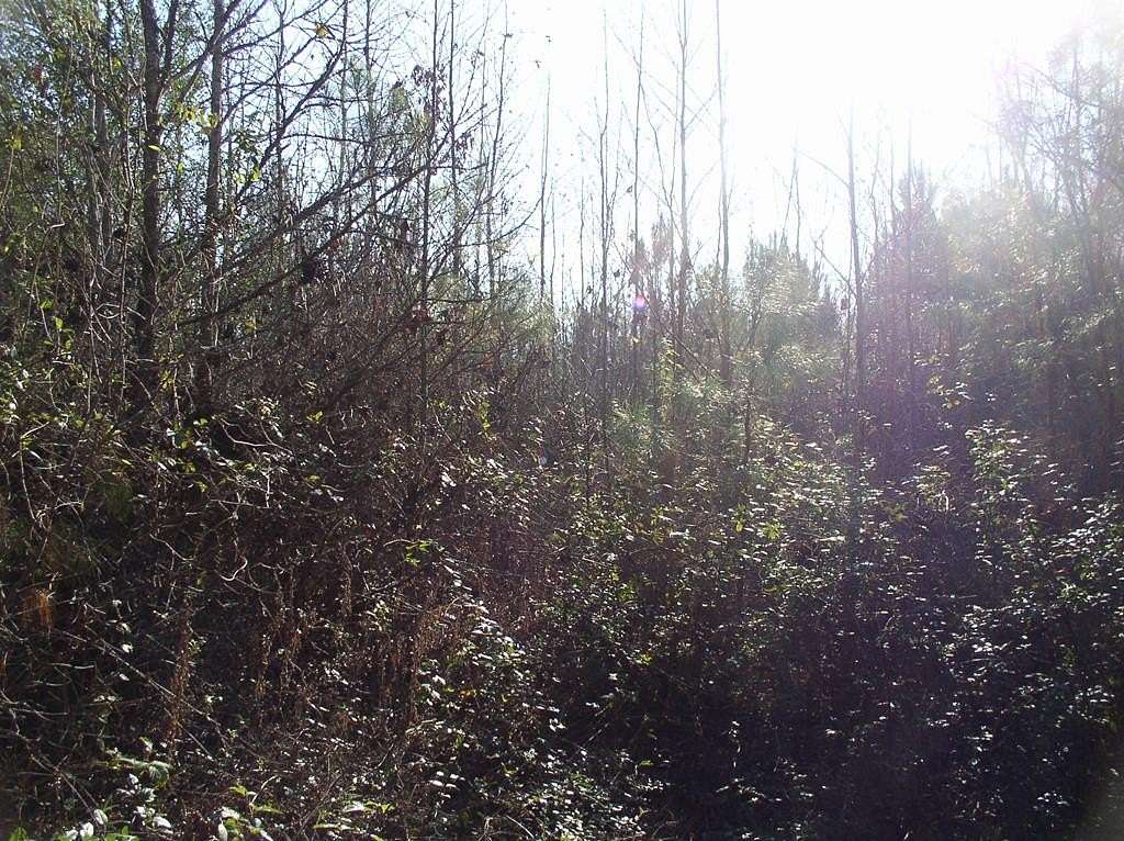 18.5 Acres of Land for Sale in Warrenton, North Carolina