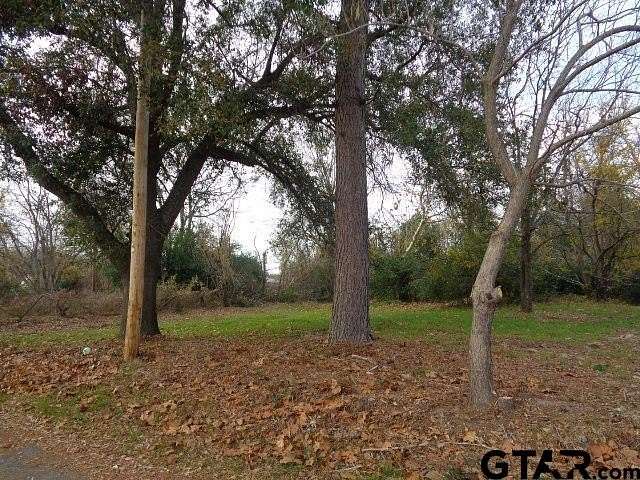 0.37 Acres of Residential Land for Sale in Winnsboro, Texas