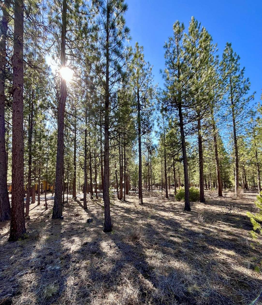 0.33 Acres of Residential Land for Sale in La Pine, Oregon