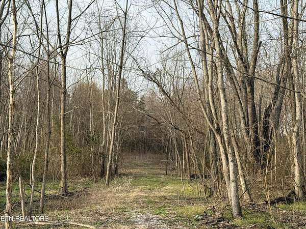 3.8 Acres of Residential Land for Sale in Jamestown, Tennessee
