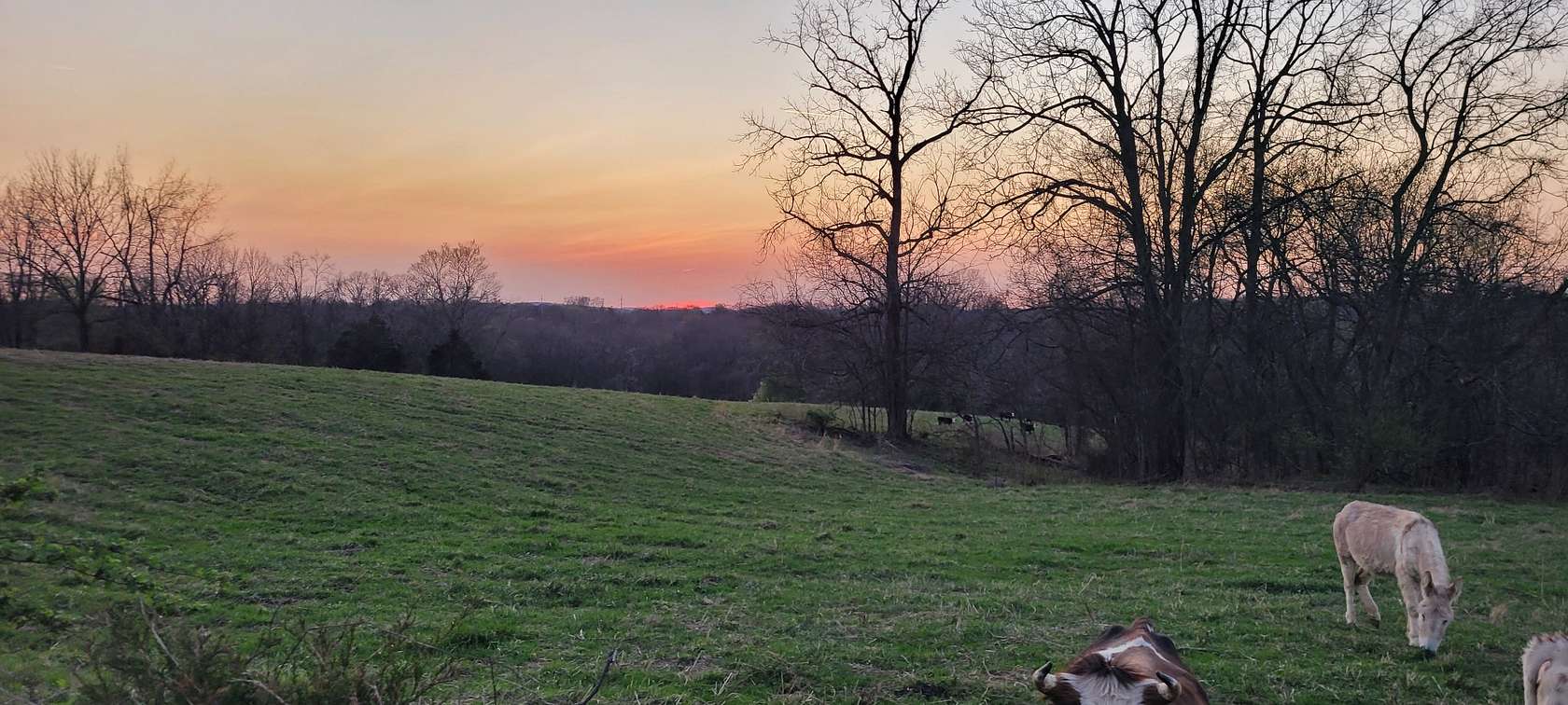 10 Acres of Land for Sale in College Grove, Tennessee