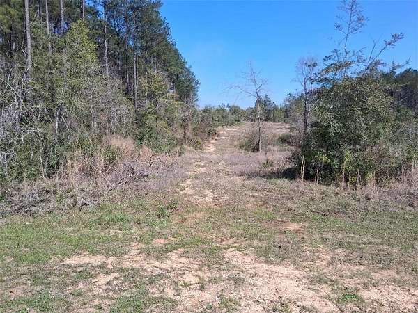 14.6 Acres of Land for Sale in Chunchula, Alabama