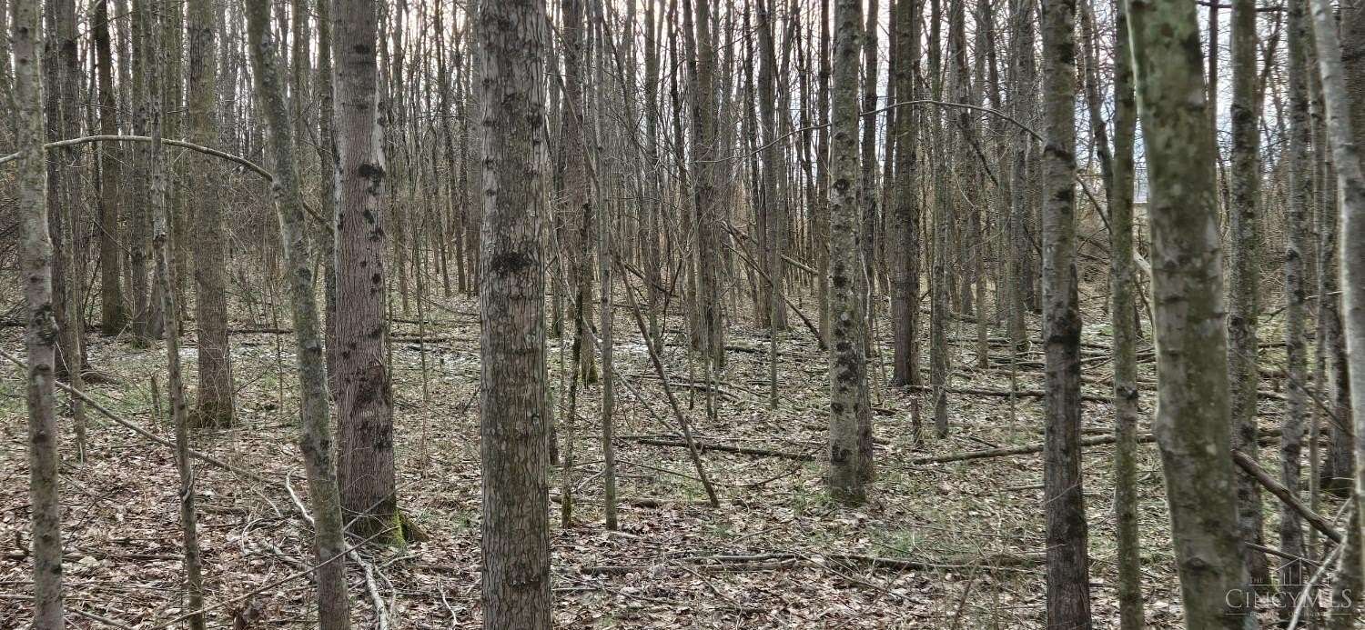 2 Acres of Land for Sale in Blanchester, Ohio