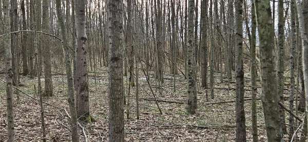 2 Acres of Land for Sale in Blanchester, Ohio