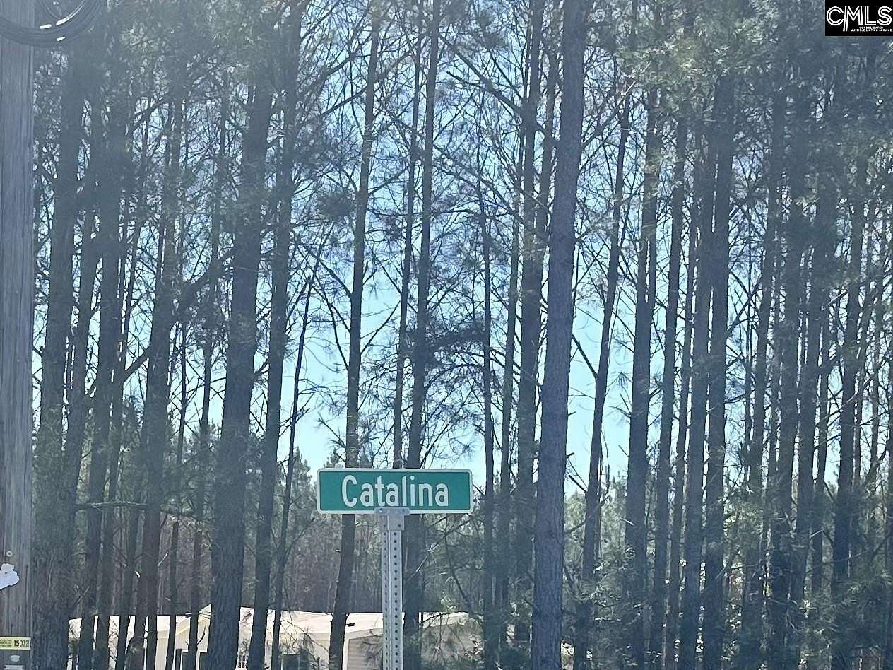 5.7 Acres of Land for Sale in Swansea, South Carolina