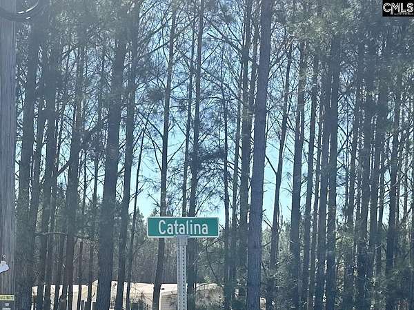 5.7 Acres of Land for Sale in Swansea, South Carolina