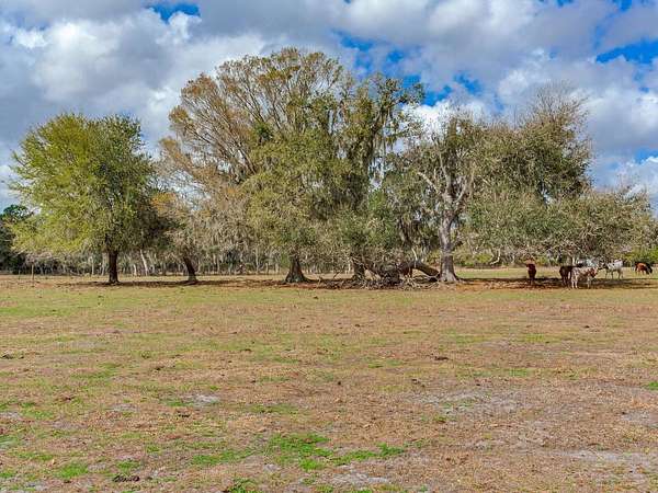 5 Acres of Land for Sale in Lithia, Florida