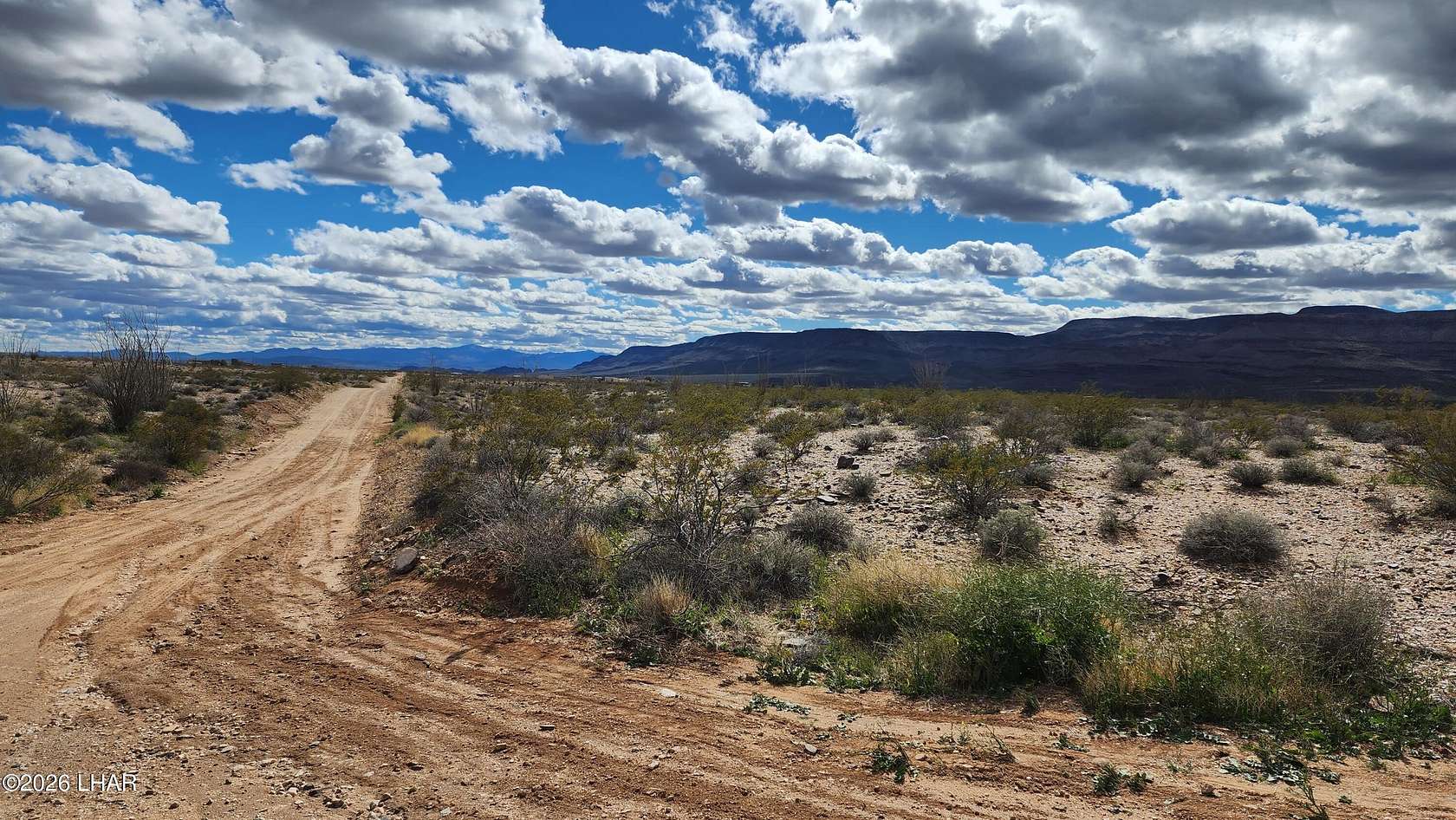 40 Acres of Land for Sale in Yucca, Arizona