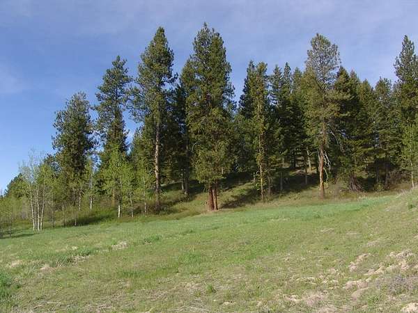 3 Acres of Residential Land for Sale in Cascade, Idaho