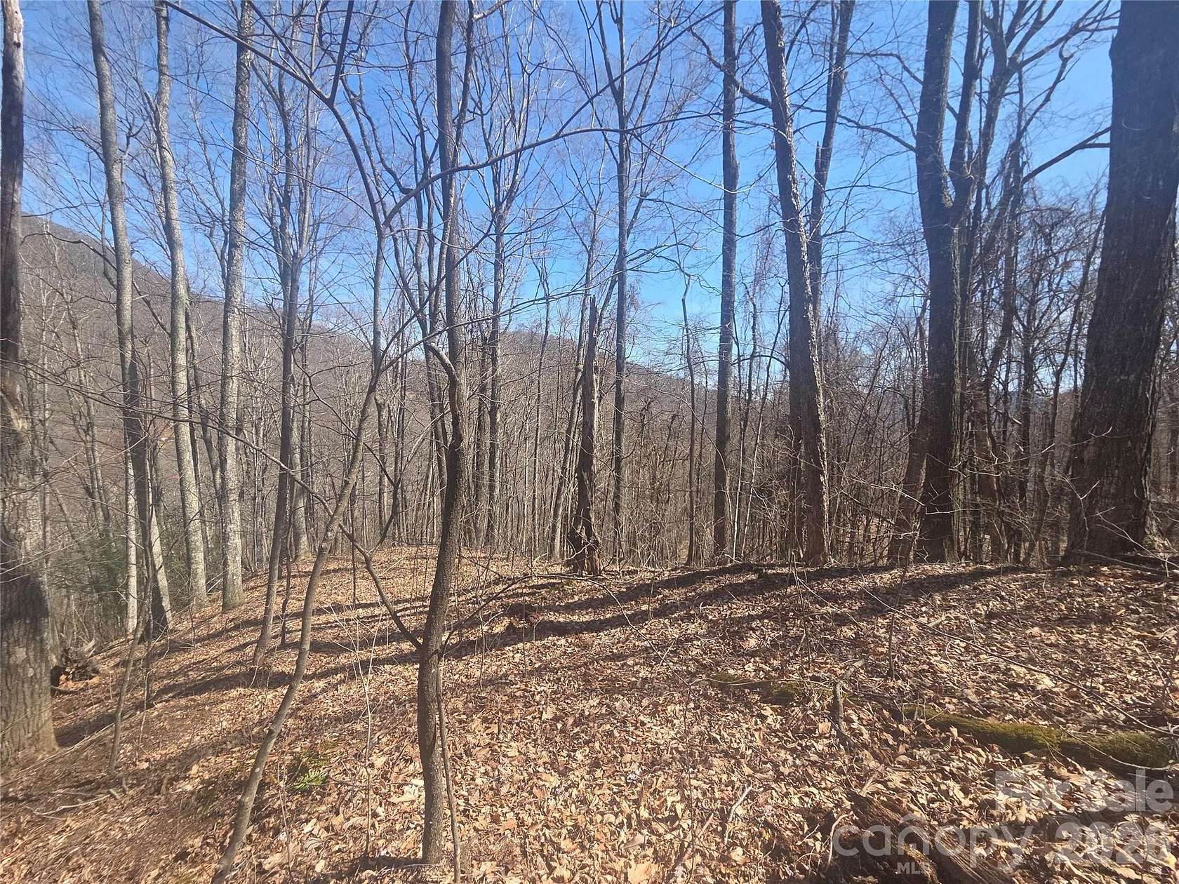 4 Acres of Residential Land for Sale in Waynesville, North Carolina