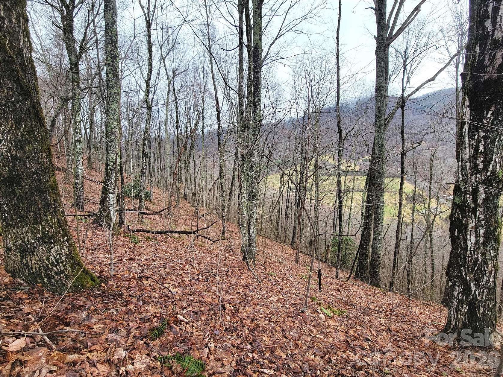 4 Acres of Residential Land for Sale in Waynesville, North Carolina
