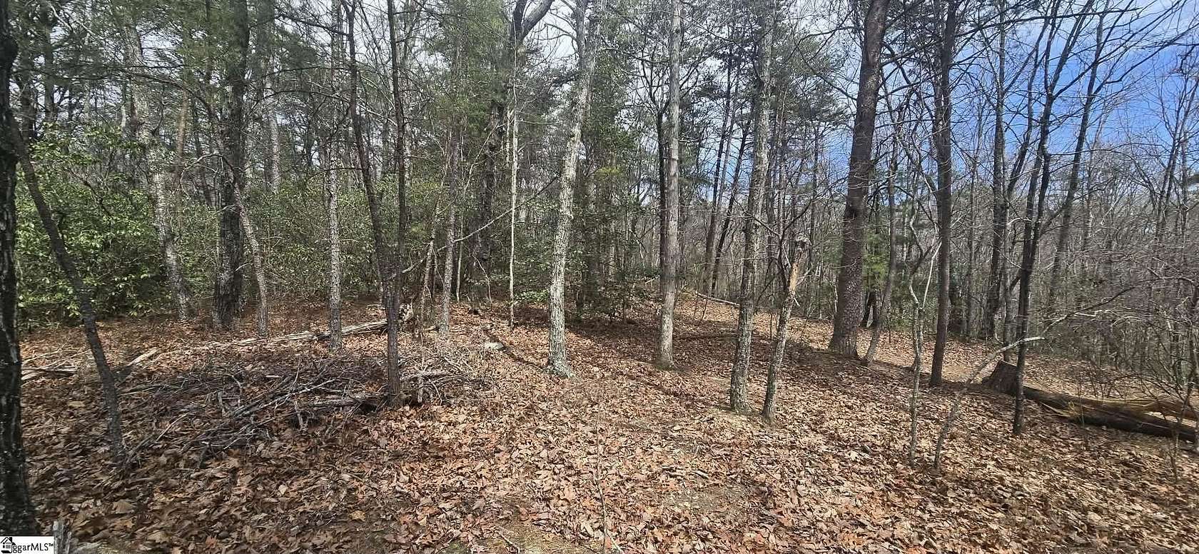 3.3 Acres of Residential Land for Sale in Cleveland, South Carolina