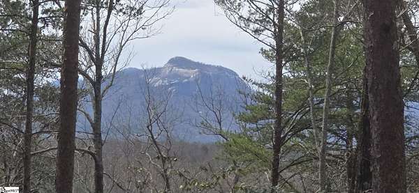 3.3 Acres of Residential Land for Sale in Cleveland, South Carolina