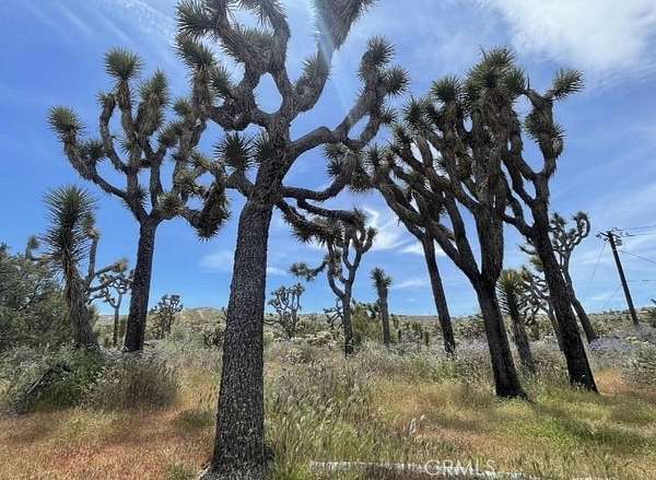1.25 Acres of Land for Sale in Yucca Valley, California